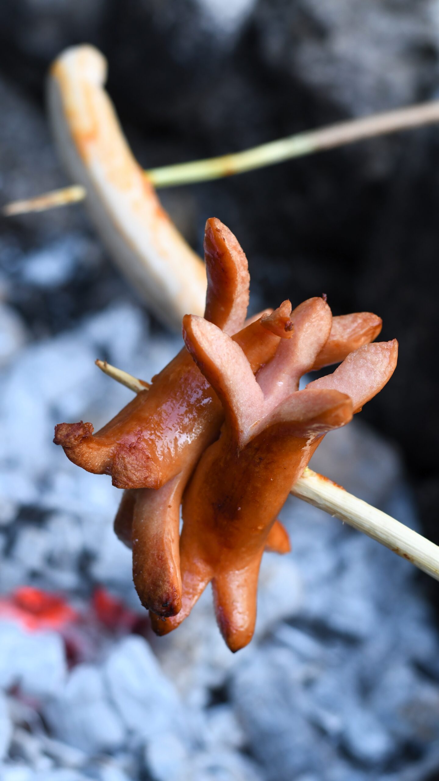 Grillwürstel